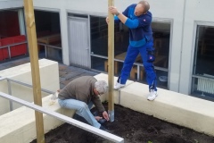 Die Spaliere werden eingesetzt