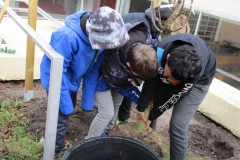 Gemeinsam werden die schweren Ballen bewegt