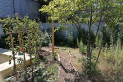 Im Sommer 2020 grünt und blüht der Innenhof-Garten