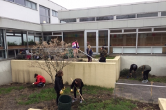 Unsere Innenhof-Garten-AG
